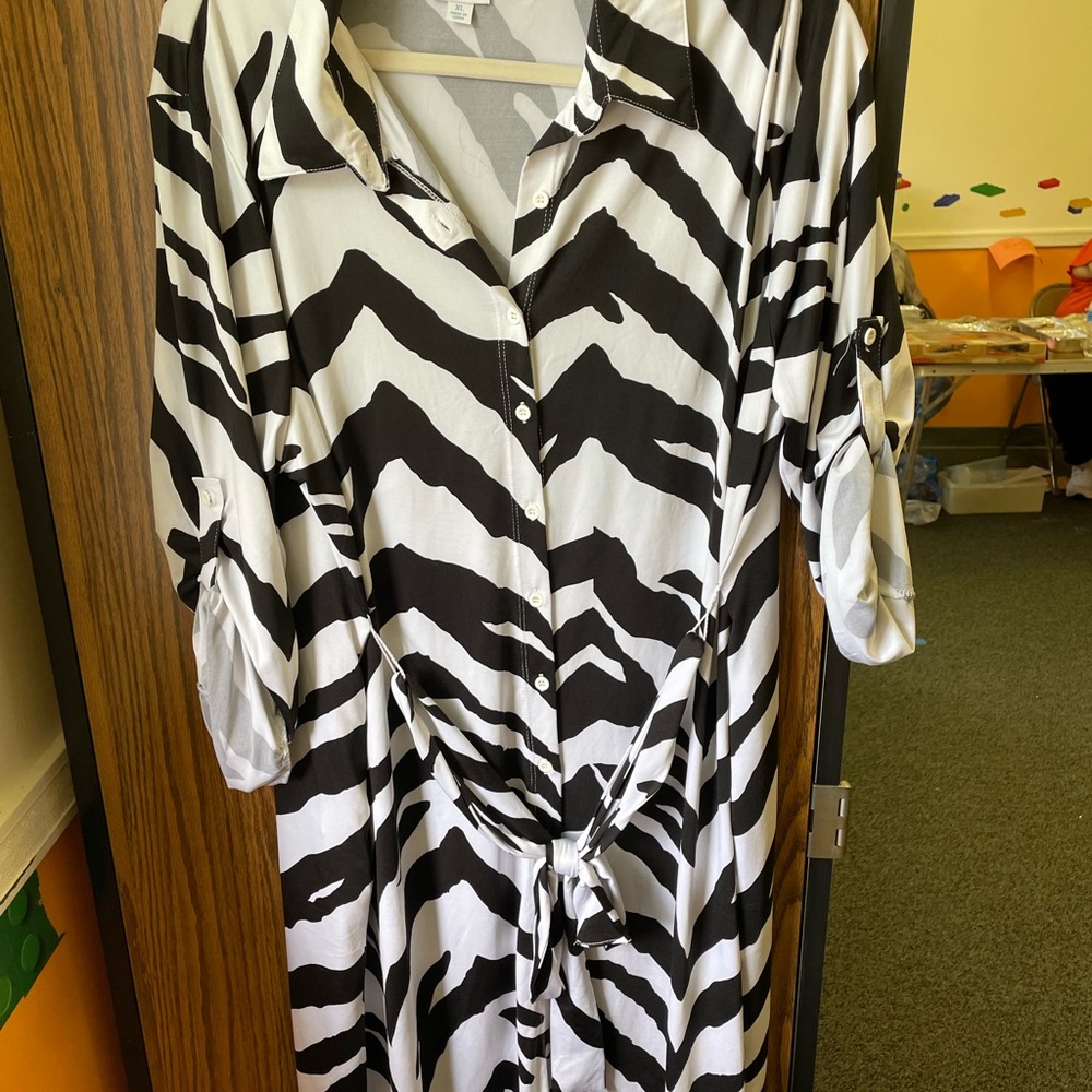 LLR zebra striped button up dress